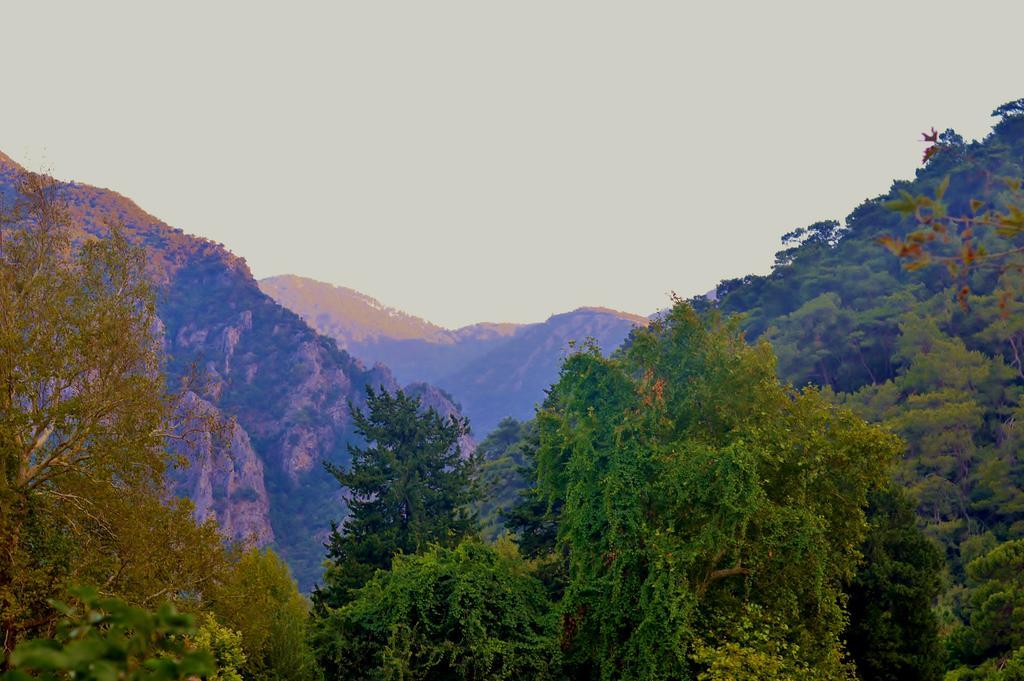 Safir Pansiyon Чирали Экстерьер фото