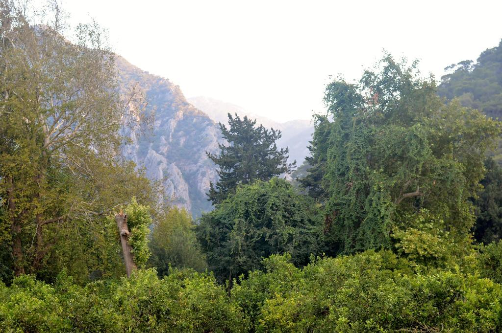 Safir Pansiyon Чирали Экстерьер фото